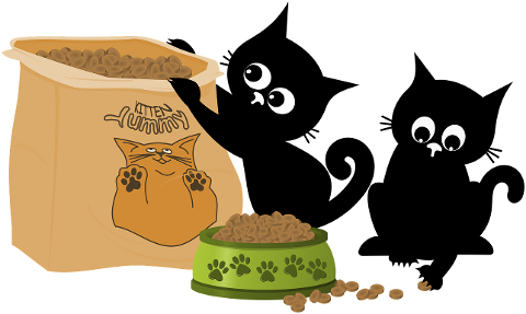 cats-kittens-felines-cute-animals-8716342